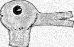 Image:Duckrabbit.PNG