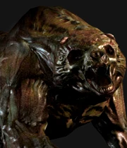 A Corrupted Bear