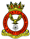 Wing Badge