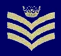 Cadet Flight Sergeant