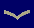 Cadet Junior Corporal
