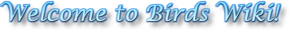 Welcome to Birds Wiki!