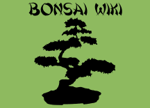 Wiki.png