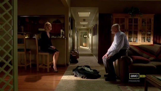 En Breaking Bad Empresa Dirigida Por Ted