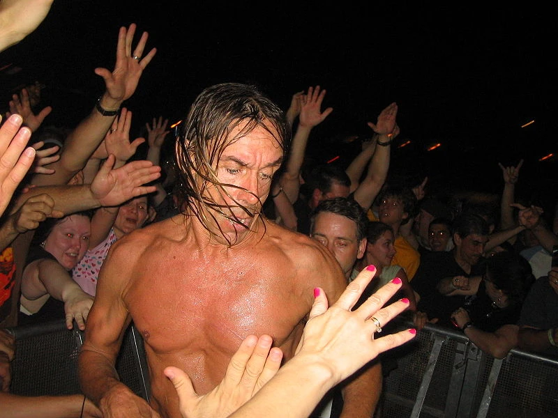 iggy pop 1970