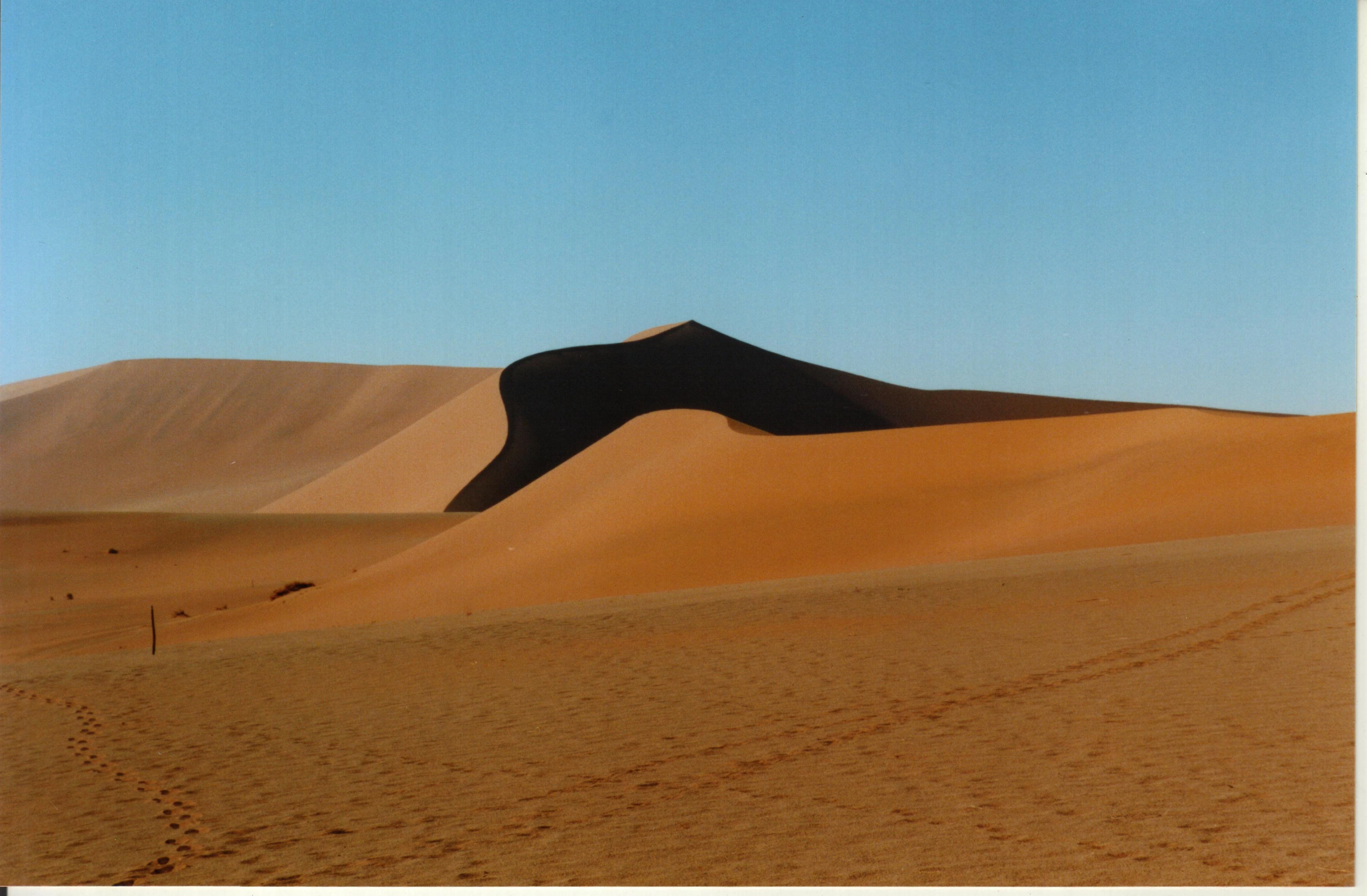 Desert.jpg