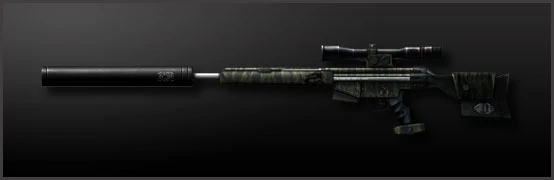 Main_psg_1_mod_camo.jpg
