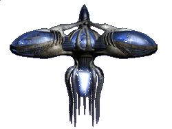 Capillata