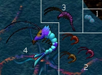 Shrimp Eggs (1), Shrimp (2), Purple Shrimp (3), Big Blue Shrimp (4)