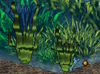 The plant and its seed.