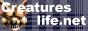 CreaturesLife.net