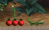 The Tomeko plant (and fruit) and the Tomeko critter.