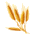 Image: Wheat.GIF