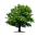 Image: Lumber.GIF