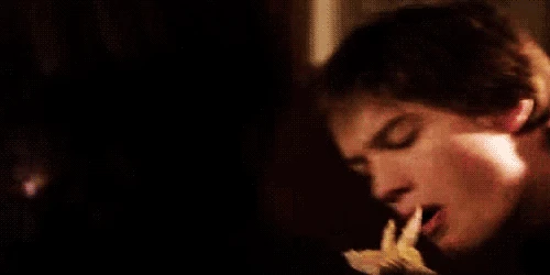 Tumblr_loyvr1M6Ju1qda30f.gif