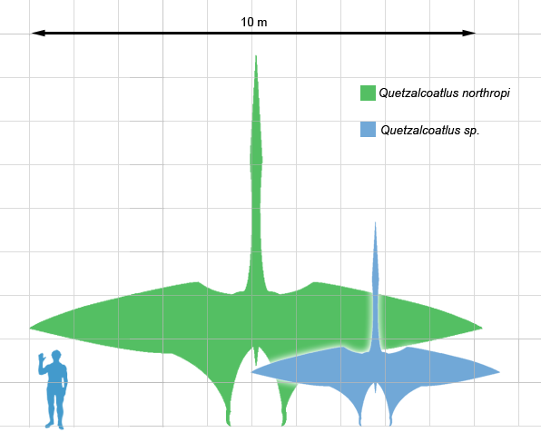 Pterosaurs