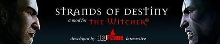 Image:witchermod.jpg