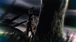 Tri-Edge spares Phyllo.