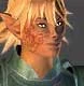 Wood Elf  Male