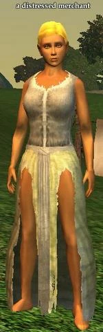 A distressed merchant in Antonica.