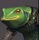 Froglok  Female