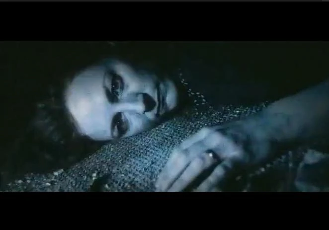 Muerte De James Y Lily Potter