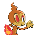 Imagen posterior de Chimchar macho o hembra en Pokémon Diamante y Perla