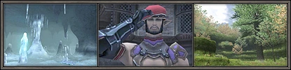New Assault Missions and Mercenary Rank (08-07-2007)