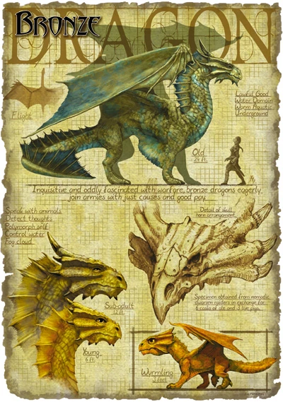 Bronze dragon - The Forgotten Realms Wiki - Books, races, classes ...bronze dragon 