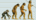 image:b.darwins_voyage.classic.png