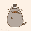 GroomedCatz GroomedCatz