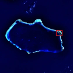 bikini island
