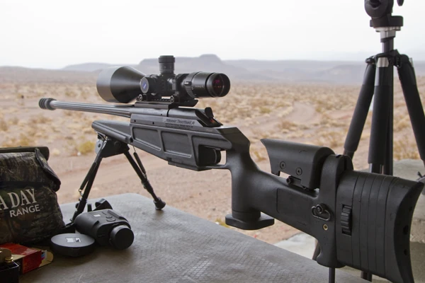 Blaser+tactical+2+straight+pull+.308