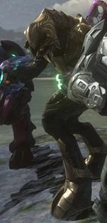 The Arbiter