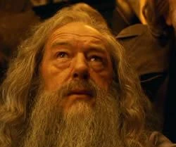 Albus Dumbledore at the close of the First Wizarding War.