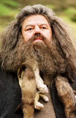 http://images.wikia.com/harrypotter/pl/images/d/dc/Rubeushagrid.png