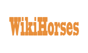 Wiki.png