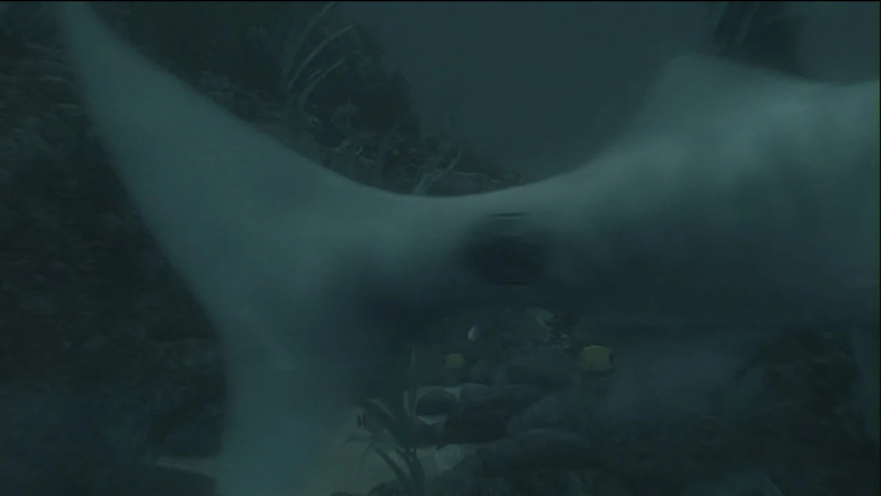 picks of sunken ships