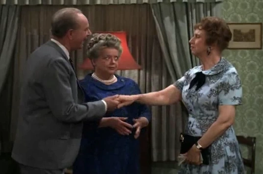 http://images.wikia.com/mayberry/images/3/35/AuntBeesCousin5.png