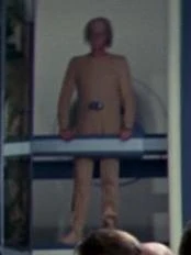 A Rhaandarite crewmember