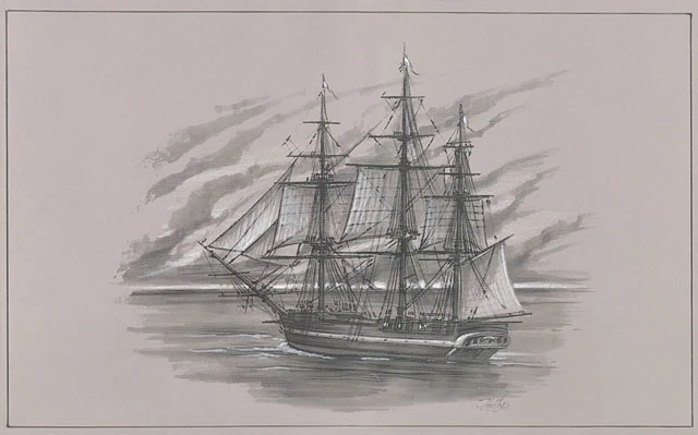 Voyagerer Avatar