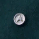 The Starfleet Medal of Commendation (2371).
