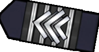 Afbeelding:mirror capt.png