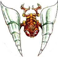 Image:Metaree.jpg