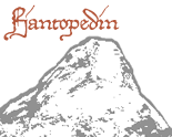 Wiki.png
