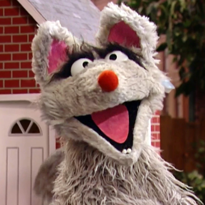 Gray wolf, 2007.