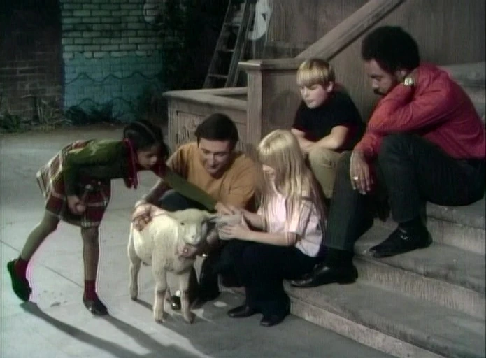 Bob, Sesame, and the kids