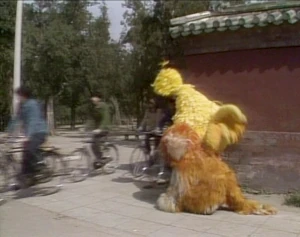 Local populace on bicycles