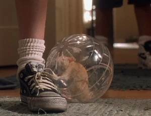 The Creature Sho's rat in a ball