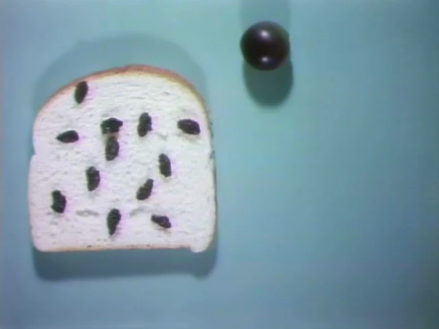 Screenshot from Raisin Army.